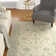 Fitzwater Wool Oriental Indoor Rug