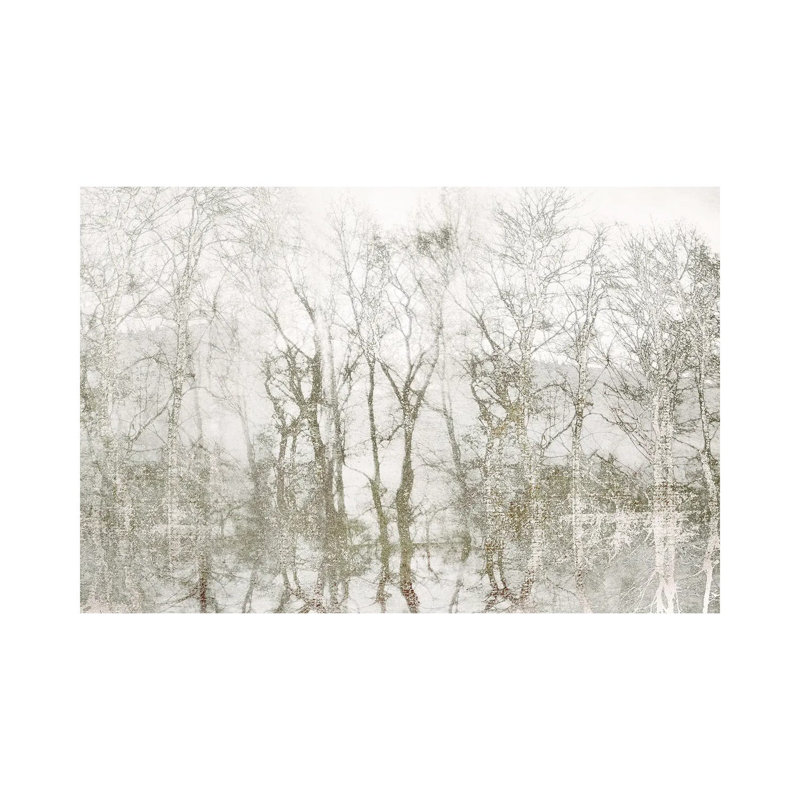Shimmering Trees by Irene Weisz - Wrapped Canvas Print, 20.32 cm H x 30.48 cm W