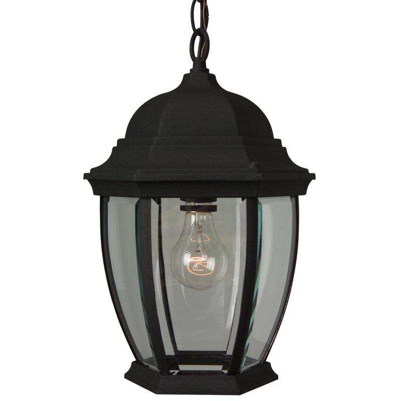 Lanterne suspendue d'extérieur en fonte d'aluminium 1 lumière H 14,5 po, Noir mat