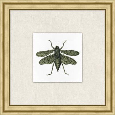 Flying Specimen 3 Print by Lillian August