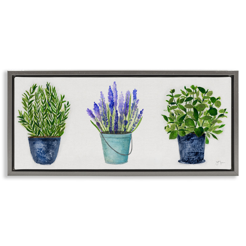 Plantes et herbes variées en pot, Cadre flottant gris, H 11 po x l 25 po