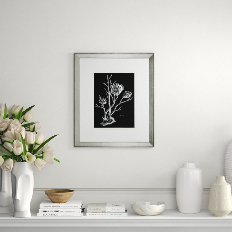Black And White Coral II Print