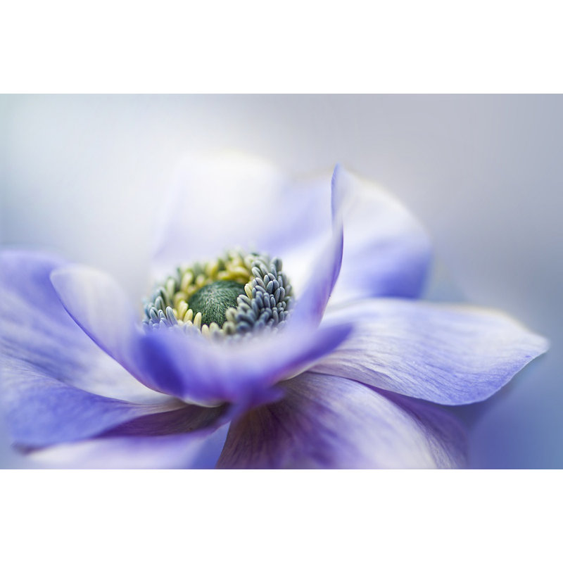 Wrapped Canvas Print, 76.2 cm H x 50.8 cm W