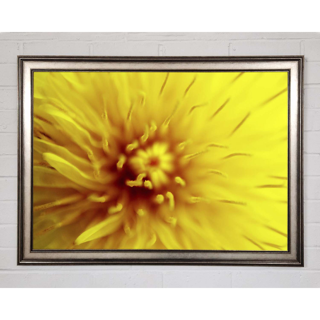 Yellow Beauty - Einzelner Bilderrahmen Kunstdrucke