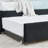 Glow Velvet Upholstered Daybed with Trundle & Wooden Frame