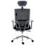 Executive Chair with Headrest-38961377