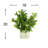 Laurel Leaf and Berry Arrangement
