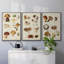 " Mushroom Species I " 3 - Pieces-91891191-91891189