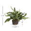 Echeveria Fern Drop-In Faux Plant-476251099