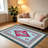 Teal Pink Fringe Rug   area rugs for Living Room, Soft and Comfortable, Suitable for all seasons, easy to maintain, machine washable Indoor floor mat, Under Table Farmhouse suitable for Bedroom, Dining Room, Study,  Balcony, Home Decor Patio-744466858