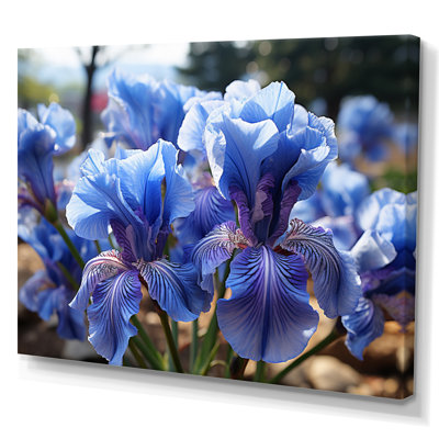 Blue Irises Field Vibrant