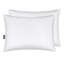 White down alternative bed pillow set of two with Serta brand tag