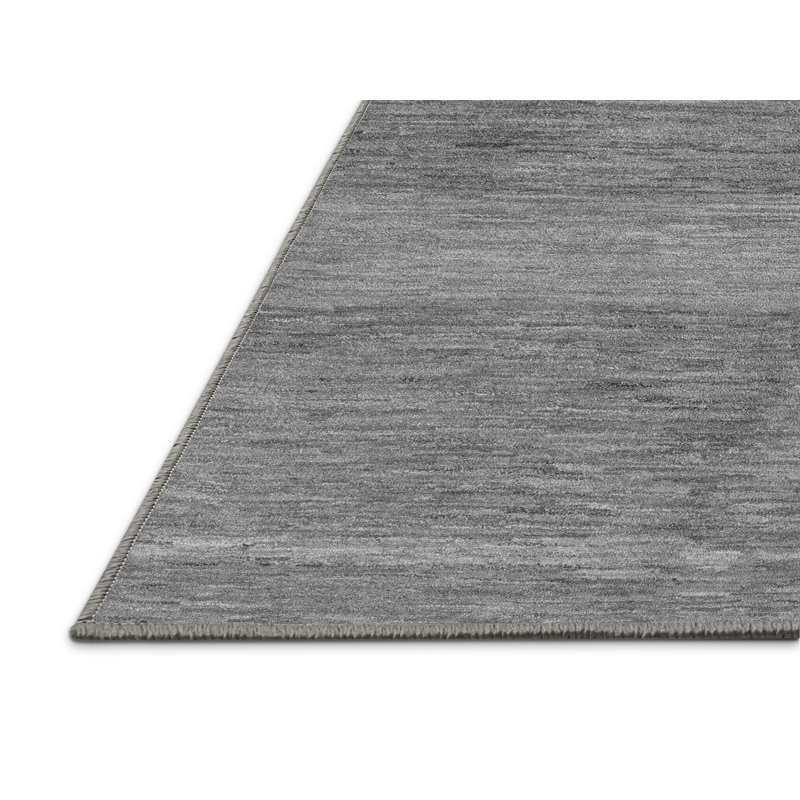 Tapis gris tissé à la machine Bieber, Rectangle 4 pi x 6 pi