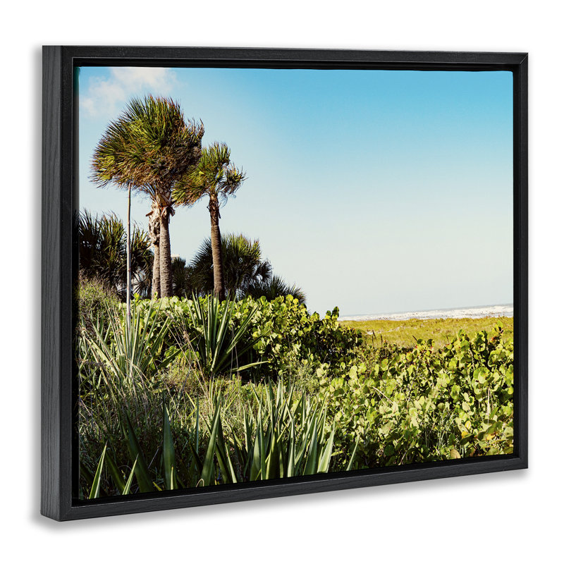«Lush Tropical Shoreline» par Stede Bonnett, Cadre flottant noir de jais, H 17 po x l 21 po