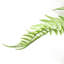 60cm Faux Plant-101685156