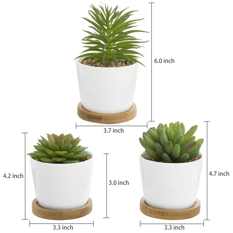 15cm Faux Succulent Plant in Ceramic Pot
