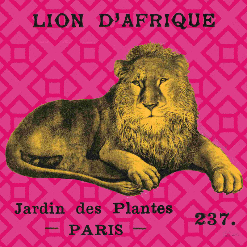 Lion safari vif, H 12 po x l 12 po x P 1,25 po, Toile tendue, Non