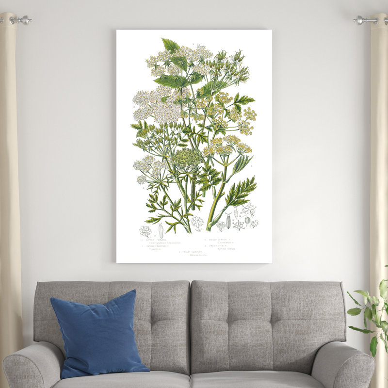 Plantes à fleurs III, H 32 po x l 48 po