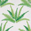 Schumacher x Cristina Buckley Canyon Ferns Wallpaper-62586204