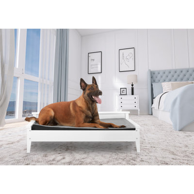  Pet Bed with Elevated Design