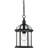 Quonset Outdoor Hanging Lantern-1714523779-1714523777
