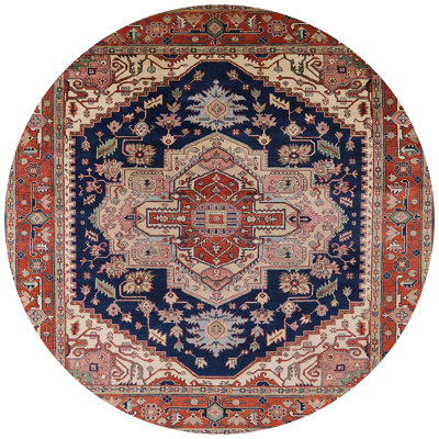 Oriental Indoor Rug