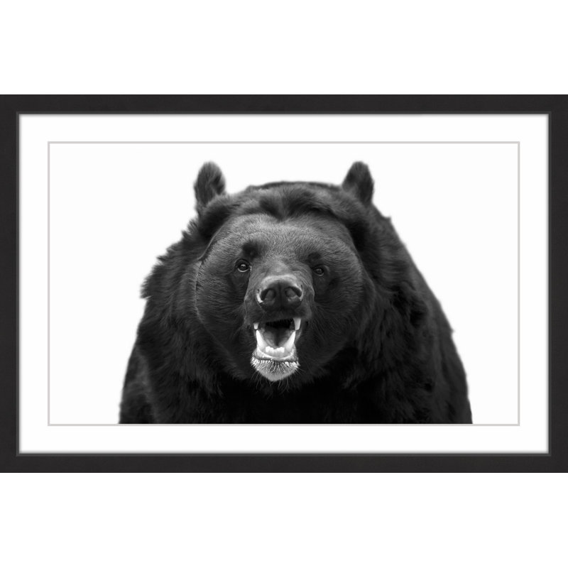 Single Picture Frame Print, 61cm H x 91cm W x 3.81cm D