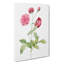 China Roses In Pink by Pierre-Joseph Redoute - Wrapped Canvas Painting-55371323
