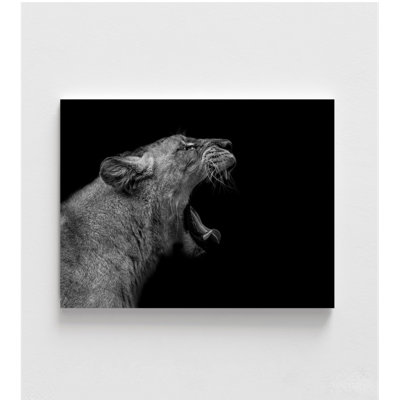 «Lionne In Low Key» par Nauzet Baez
