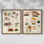 Champignon III - Reproduction encadrée de qualité supérieure - prêt à être accroché - aucun clou requis - aucun clou requis-2078107047-2078107035