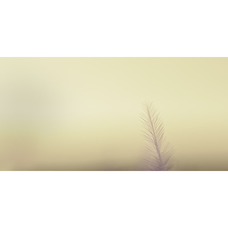 The Questions Worth Asking Print by Scott Norris, 17.25" H x 21.25" W x 0.875" D