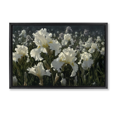 Cadre flottant blanc Iris Garden, design par Collin Bogle