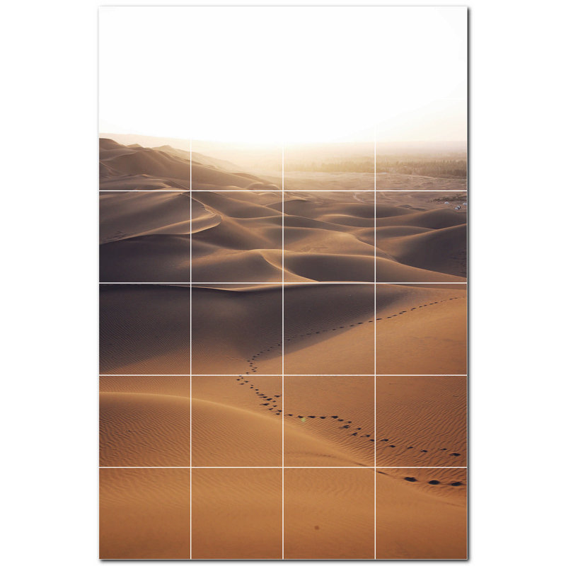 Photo du désert 12 x 12