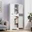 Freestanding Bathroom Cabinet
