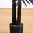 4Ft. Artificial Halloween Black Golden Cane Tree