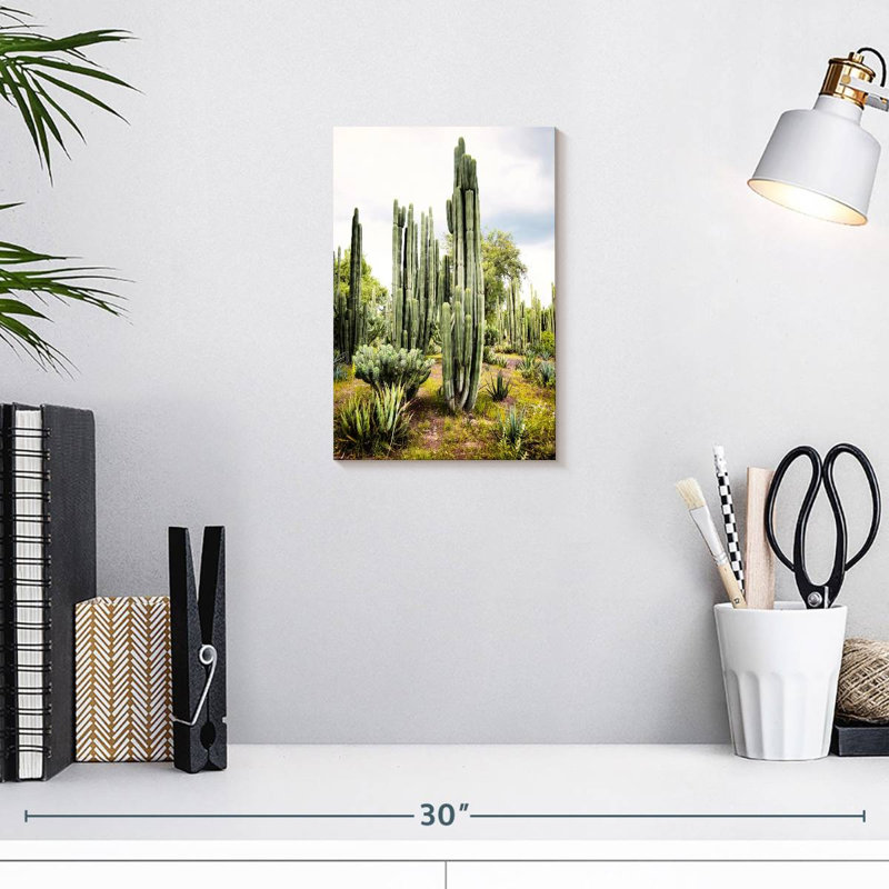 Harnek Viva Mexico - Cardon Cactus I, 12" H x 8" W