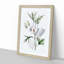 White Hibiscus Flowers - Framed Print-55641061-55641063