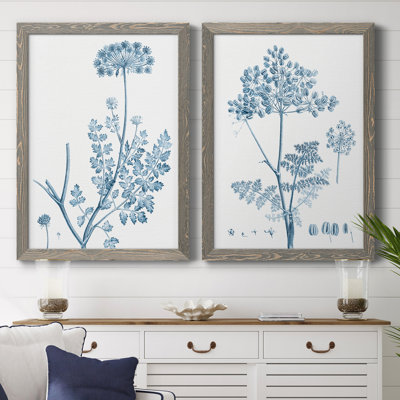 Antique Botanical In Blue V - ensemble de 2 peintures sur toile encadrées