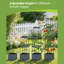Ensemble de 2 jardin surélevé avec treillis, jardinière à arrosage automatique, cadre en acier à hauteur ajustable pour plantes grimpantes, jardinière d'extérieur pour tomates, légumes, balcon et patio-337976462