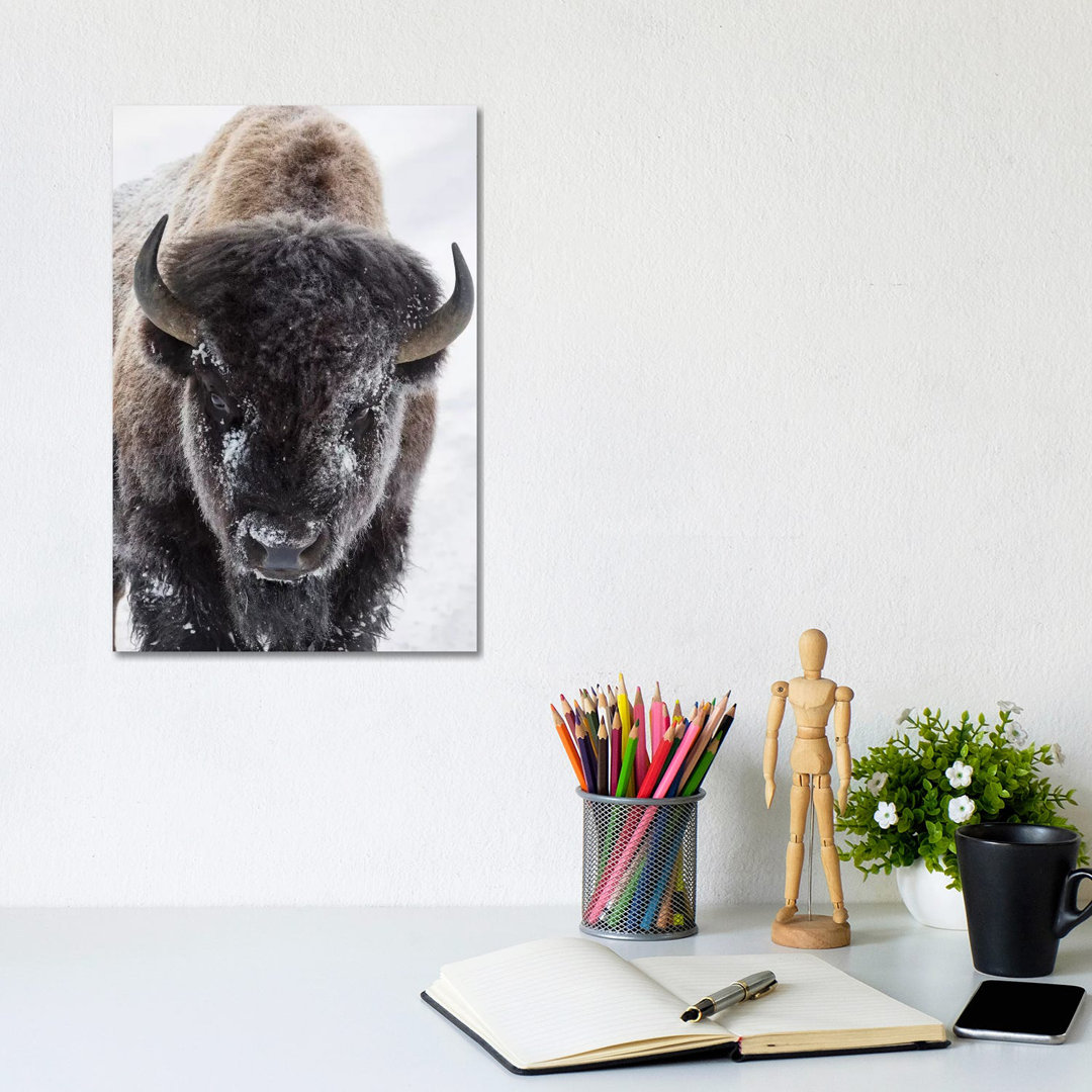 Bison, Yellowstone National Park by Ken Archer - Wrapped Canvas Art Prints