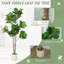 180 cm H Faux Fiddle Leaf Fig Tree Plant in Cement Freestanding  Planter