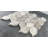 Silver Shadow Gray Marble Leaf Design 2" x 2" Marble Mosaic Wall & Floor Tile