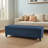Laiyba Upholstered Ottoman,Storage Ottoman,Bedroom Bench-2124435000