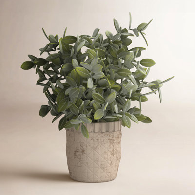 12" Plant in Pot