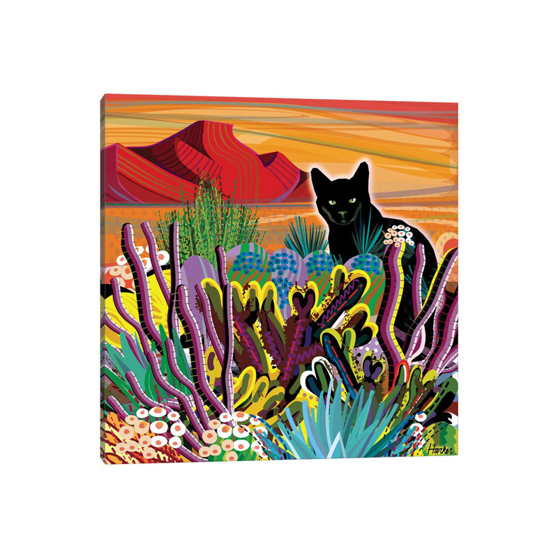 Pinacate Primavera 1 Piece Wrapped Canvas Wall Art, 45.72 cm H x 45.72 cm W