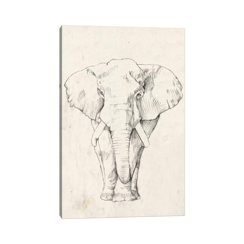 Elephant Portrait I by Jennifer Goldberger - Wrapped Canvas Print, 20.32 cm H x 30.48 cm W