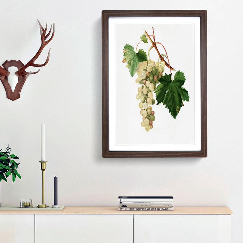 Muscat Grapes by Giorgio Gallesio - Picture Frame Painting Print, Walnut Framed, 36cm H x 27cm W x 2cm D