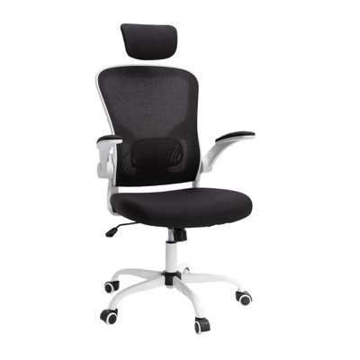 Ludovica 52 cm Wide High Back Mesh Ergonomic Office Chair With Adjustable Headrest, Armrest, Lumbar