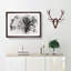 Wild Lioness - Single Picture Frame Print on MDF-56882372-56882373