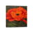 Red Poppy by John Zaccheo - Wrapped Canvas Gallery-Wrapped Canvas Giclée-37550413